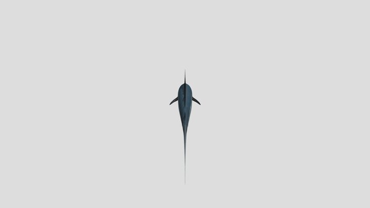 Blue Marlin 3D Model