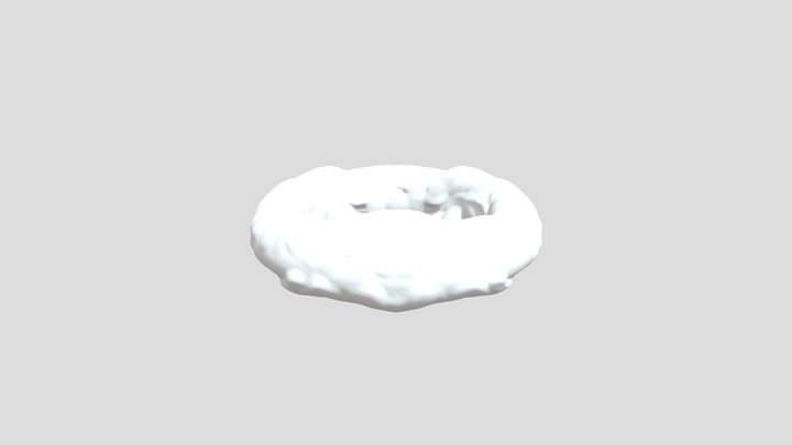 weird torus 3D Model