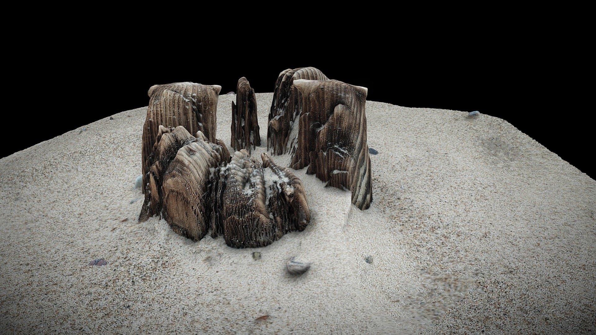 Mielno, Baltic Sea, Stump_1