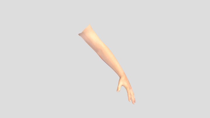 arm 3D Model
