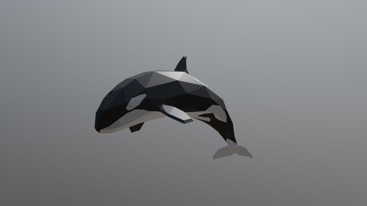 Orca_15 3D Model