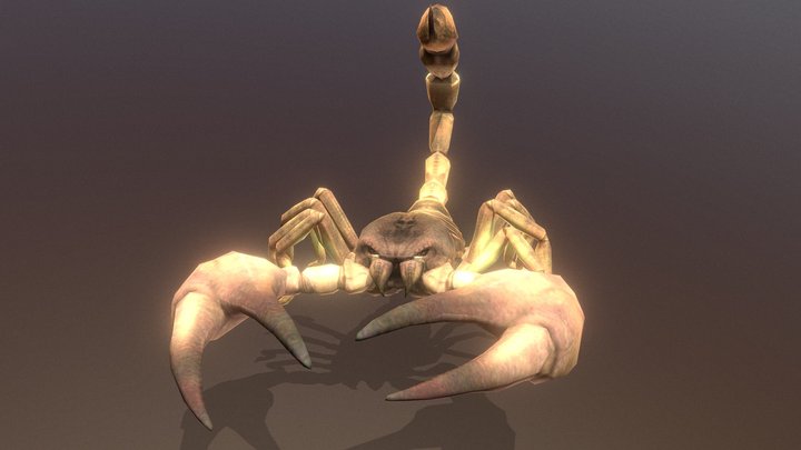 Desert Scorpion Sand Predator Action Fbx Pbr 3D Model