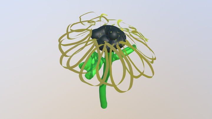 Flower 3D Model