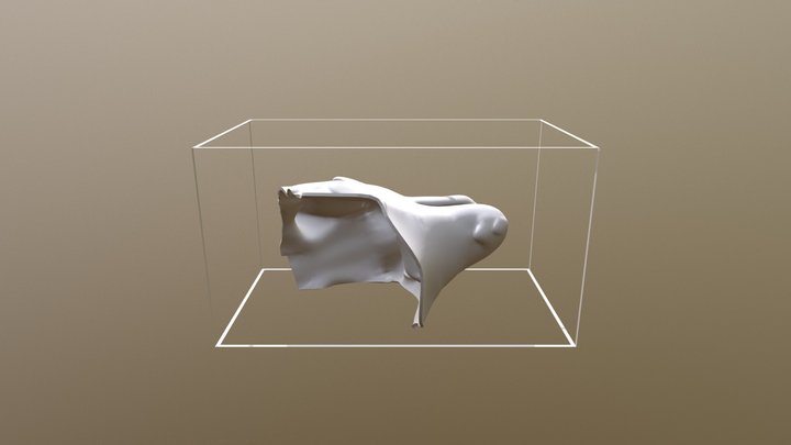 Wolfheadboundingbox 3D Model