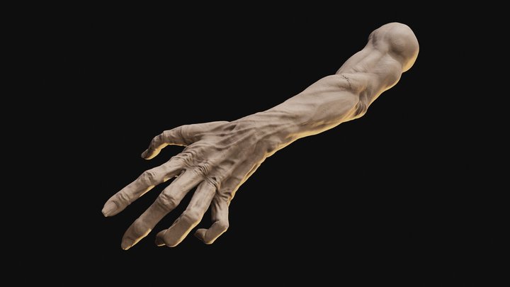 Zombie hand 3D Model