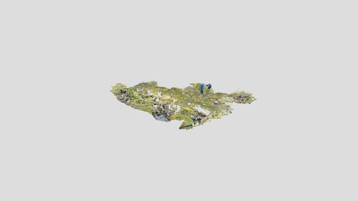 Connypot beck resurgence NY 80718 20623 3D Model