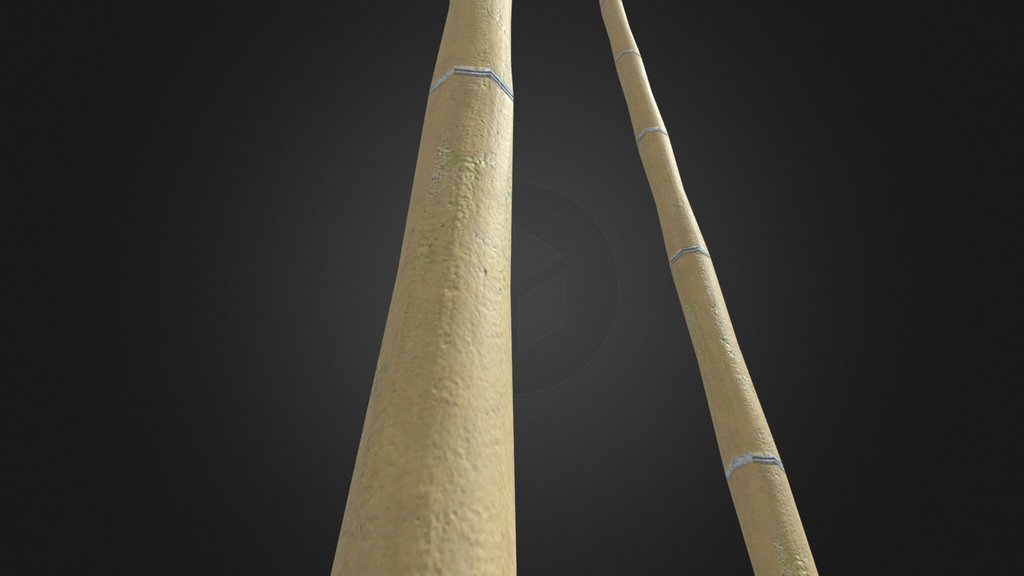 Bamboo weapon