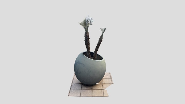 Tree 3D Model