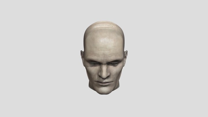Composite Face Study 3D Model