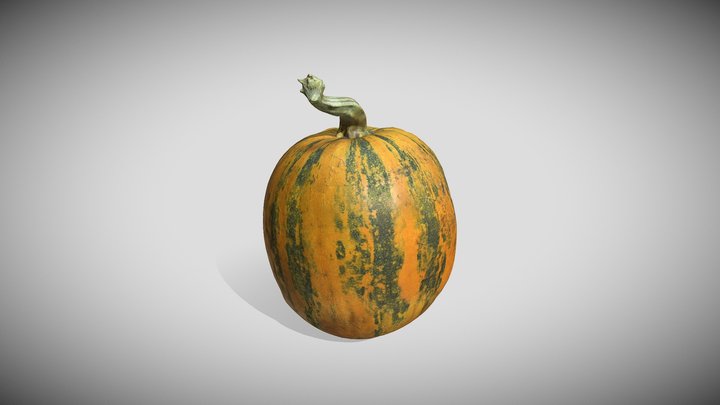 Pumpkin 3D Model