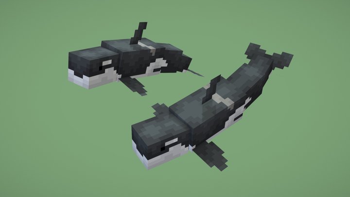Killer Whales 3D Model