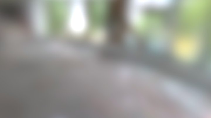 Boar 3D Model