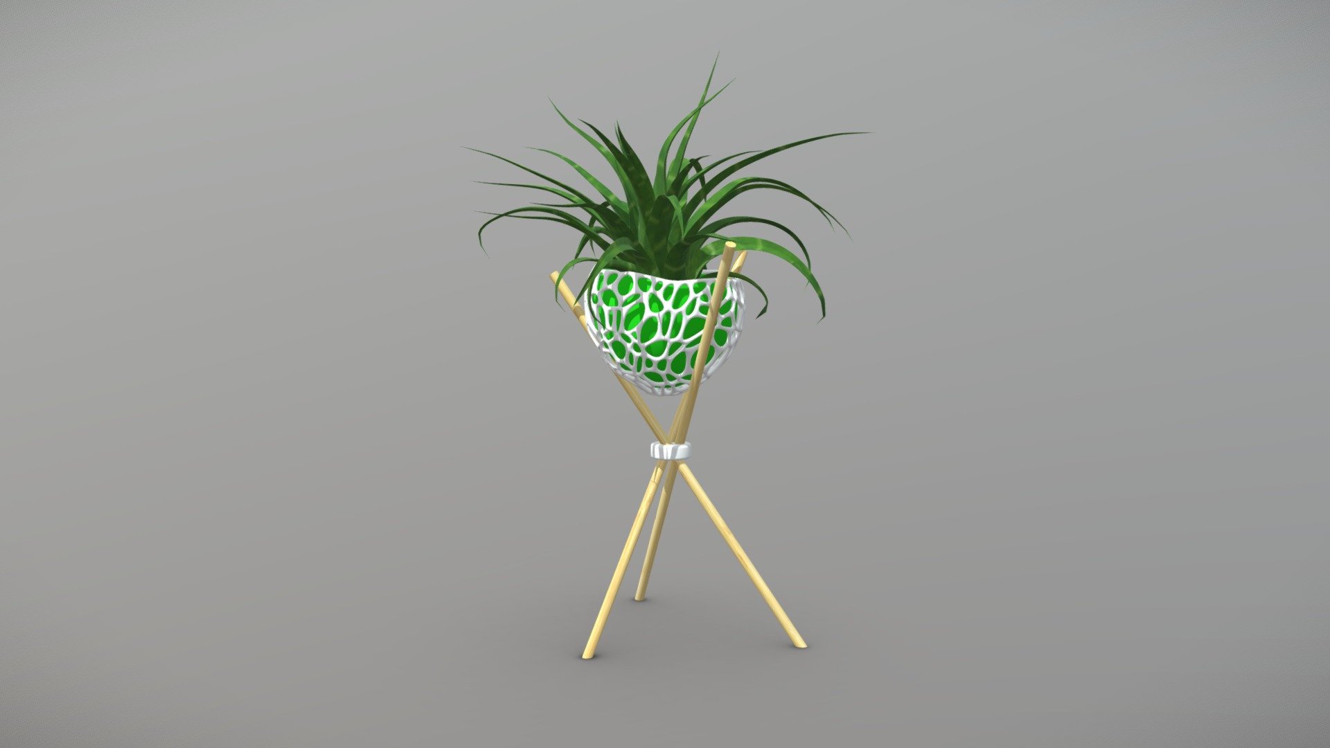 pot - bamboo stick - air plant