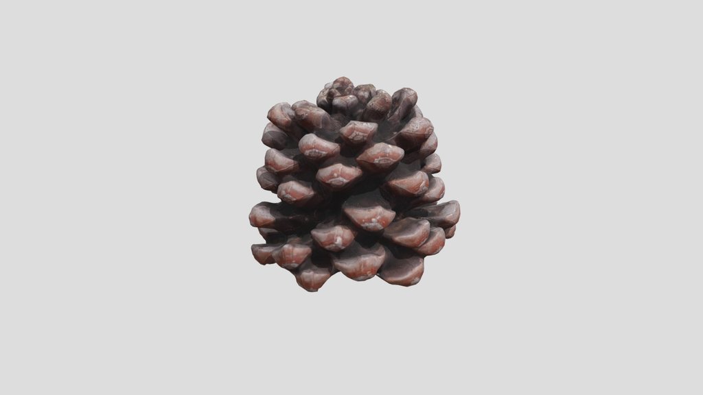 Pine Cone V2
