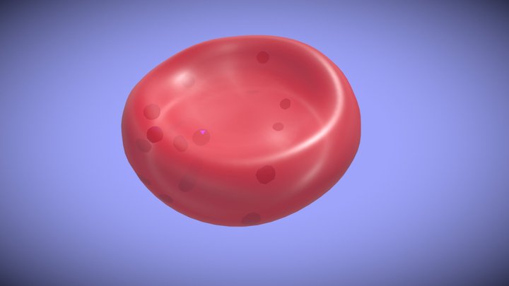 Siderocyte 3D Model