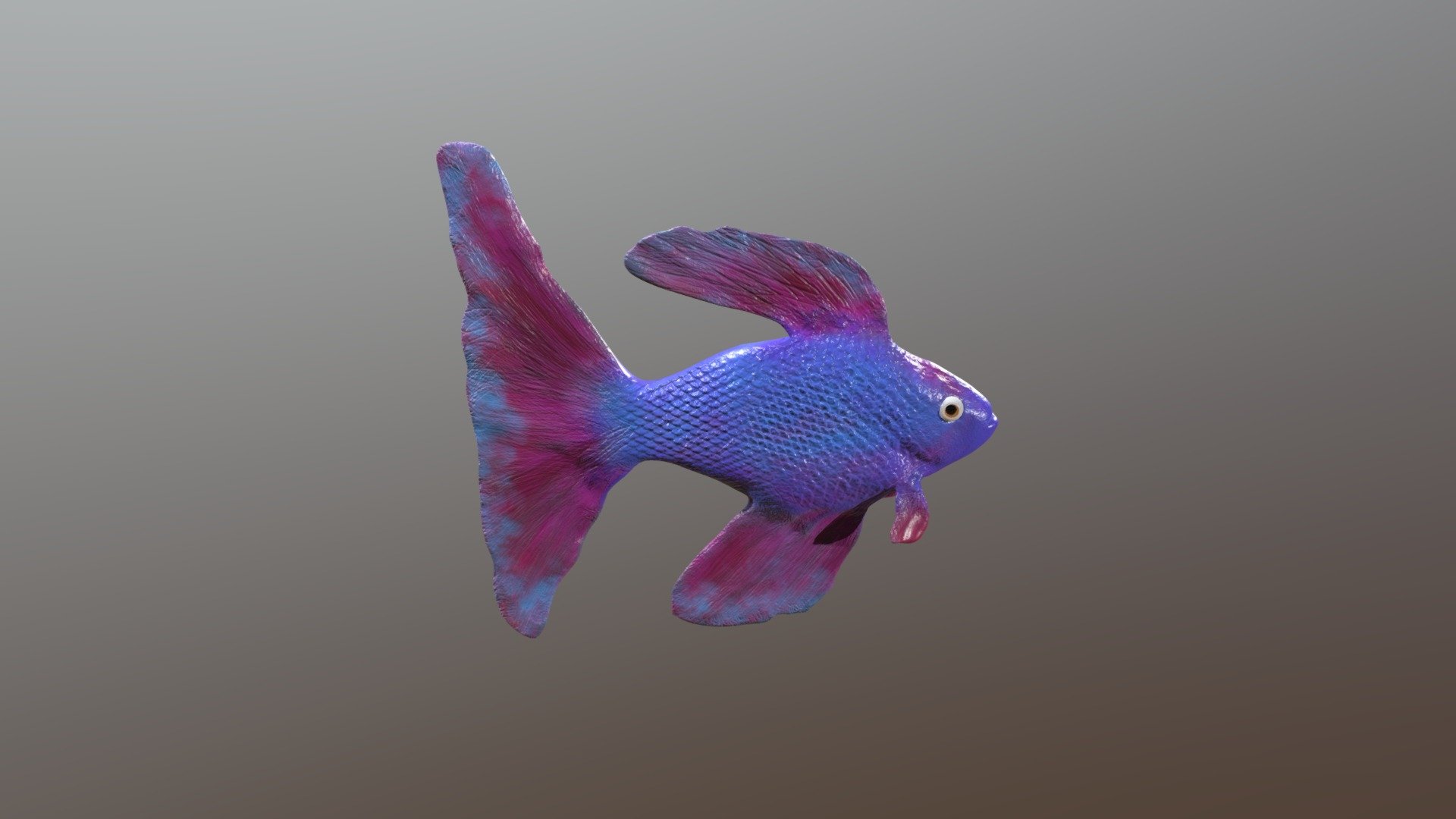 Bettafish model by Alex4 - 3D model by powdar [7d7fc96] - Sketchfab