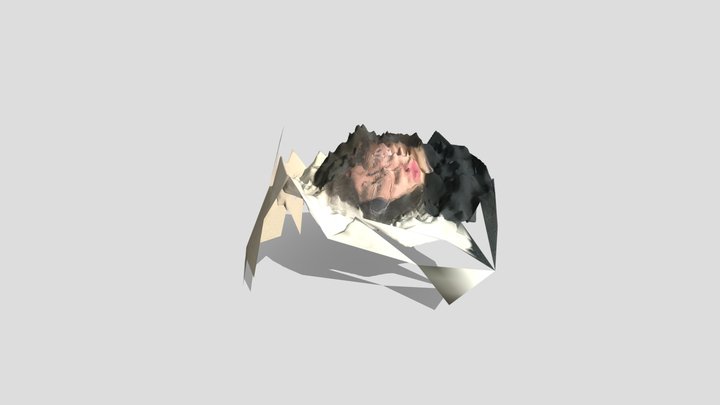 profile-ogakobayashi 3D Model