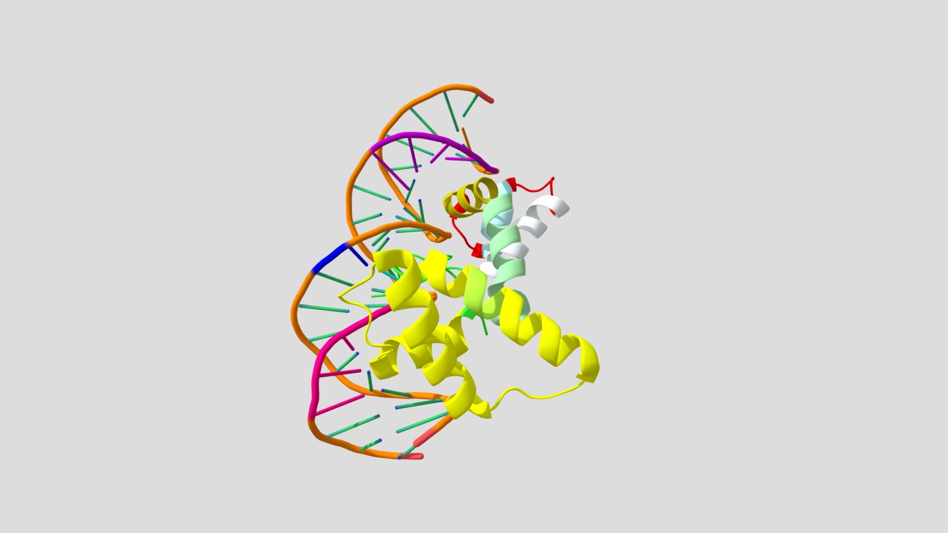 Crystal structure of the CENP-B protein - 3D model by mkod3206 [7d80b38 ...