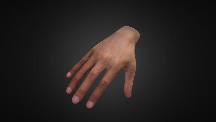 VR Hand_Material 3D Model