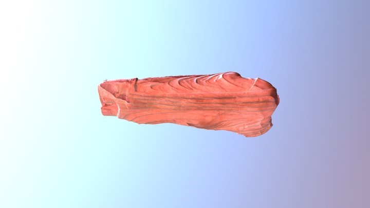 Joven masculino togado con bulla. 3D Model