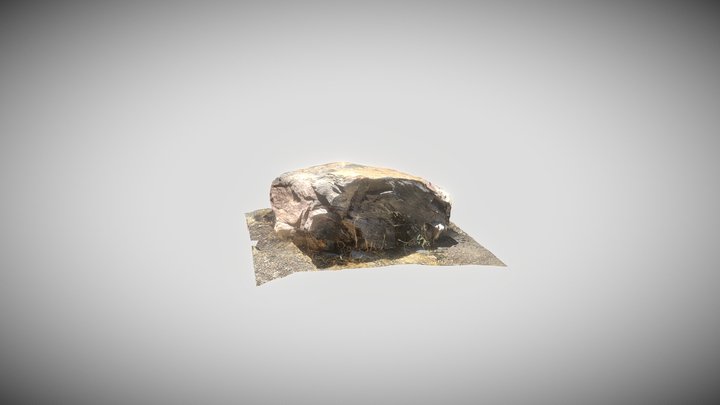 Rock scan Raw 3D Model