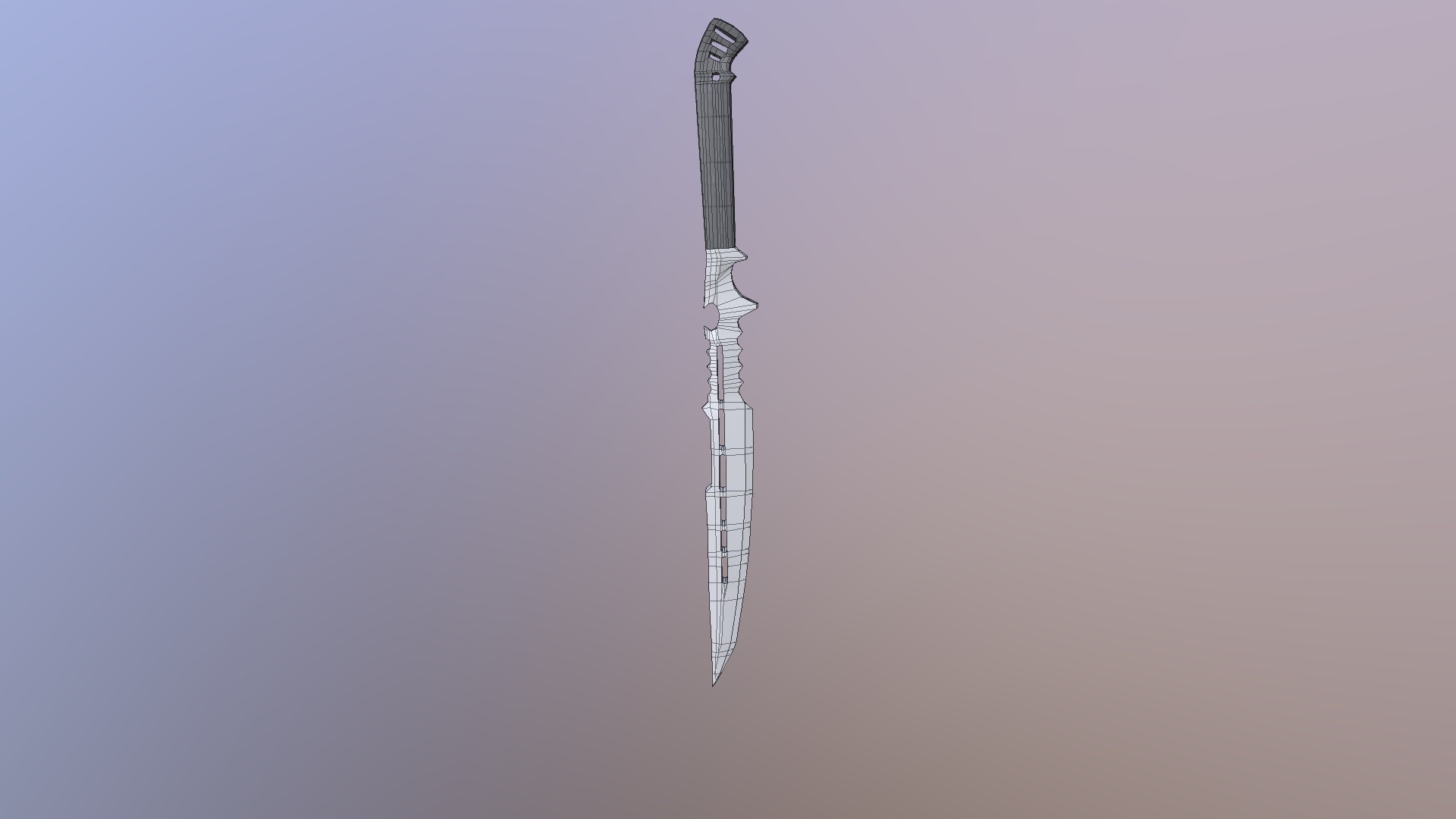Cleaned Sword