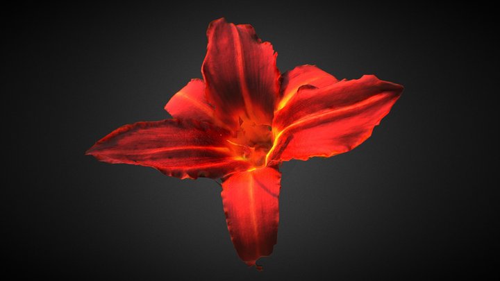 Flower Test 3D Model