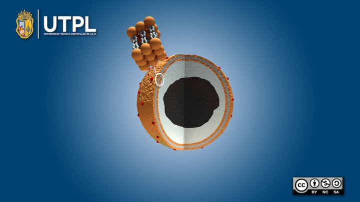 Peroxisomas – Modello 3D gratuito STL