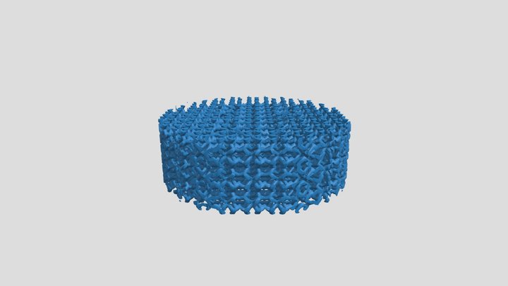 eFlesh_Scrubdaddy 3D Model