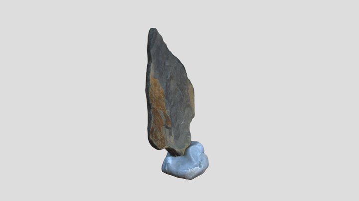 Fossil From Izzy 3D Model