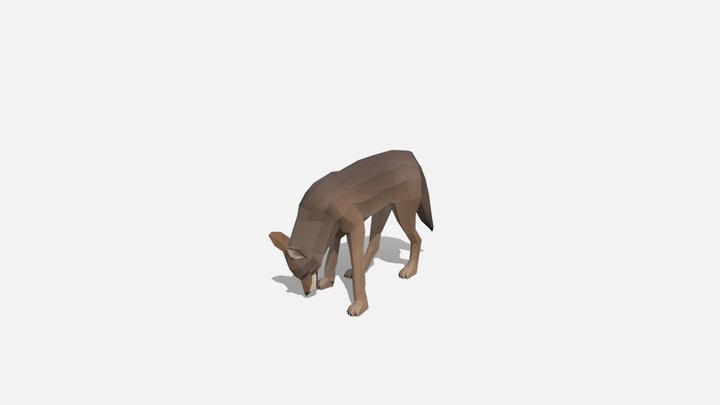 Low poly coyote (Canis latrans) – Modello 3D gratuito STL