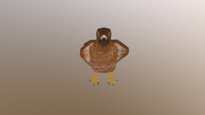 Red Shoulder Hawk 3D Model