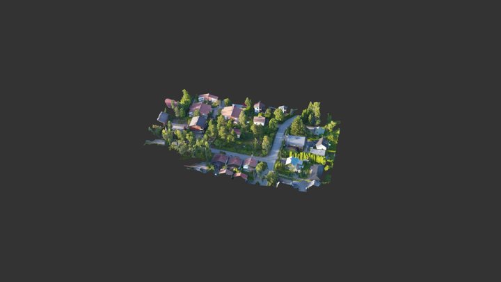 Vermo07122018 C Simplified 3d Mesh 3D Model