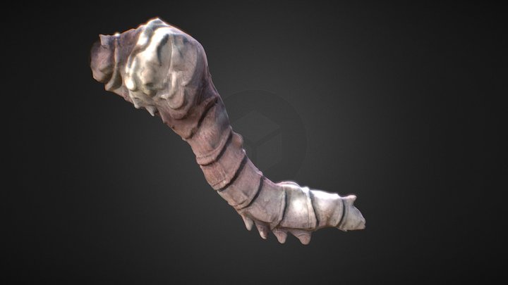 The worm 3D Model
