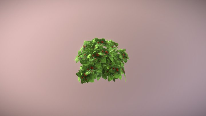 Cherrybush 3D Model