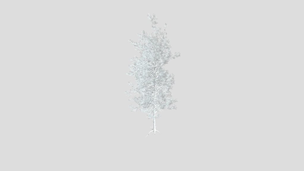 Sj Frosted Evergreen Pine Tree