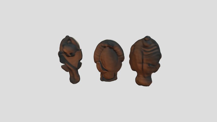 Fish Tongue Parasite Model 3D Model