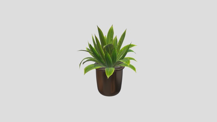 Indoor Plant C – Kostenloses 3D-Modell STL