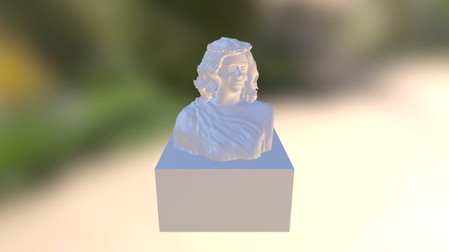 Printbust 3D Model