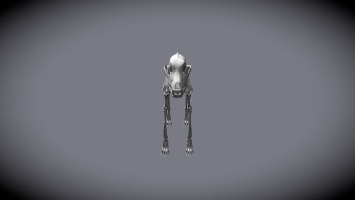 Dog Skeleton SF 3D Model