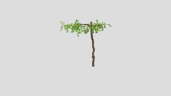 Old Tree V5 – Free 3D Model STL