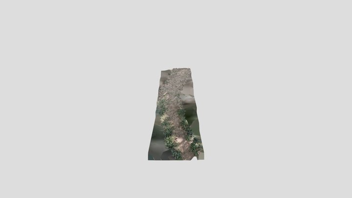 Forest path – Kostenloses 3D-Modell STL
