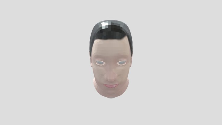Miniladd Bust WIP 3D Model