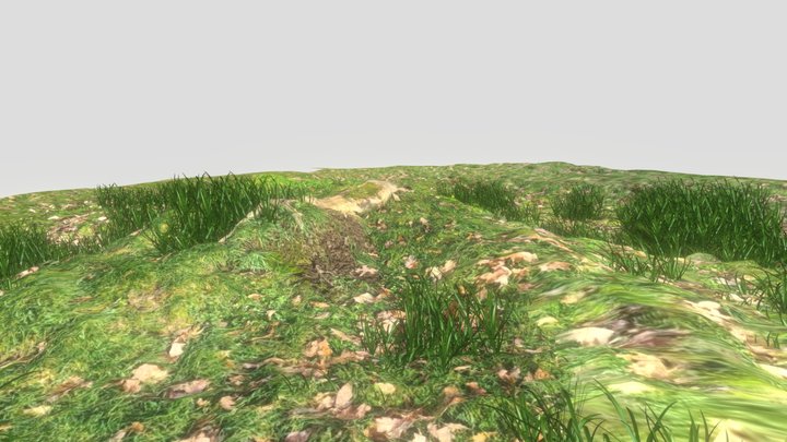 grass filed 3D Model