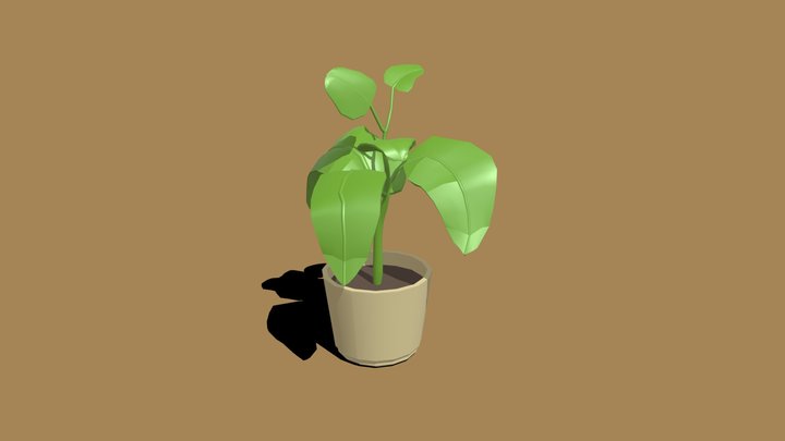 planta