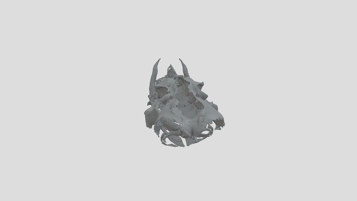 Bambooshark Skeleton 3D Model