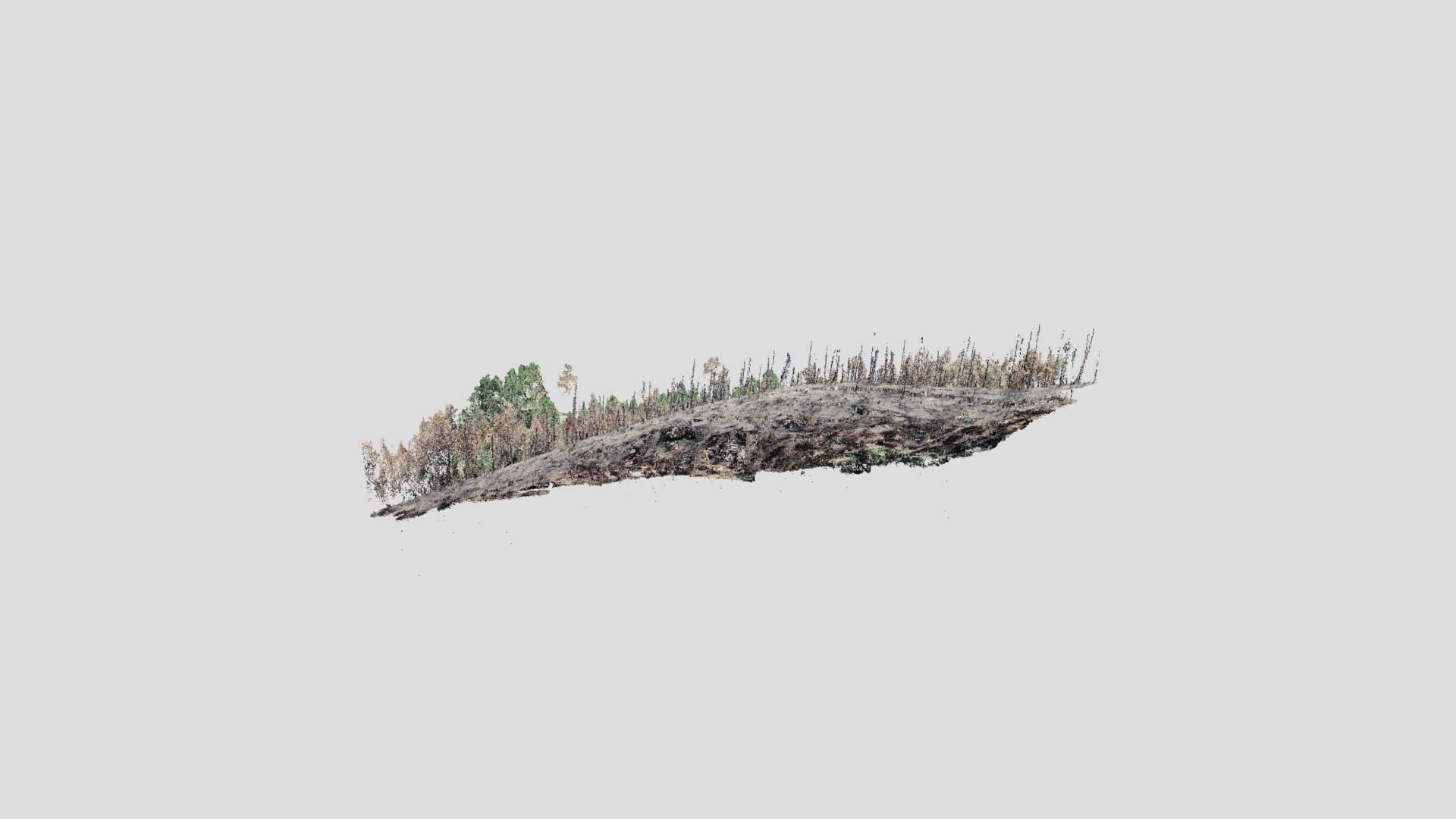 Heterogeneous burned forest within Cal-wood Fire
