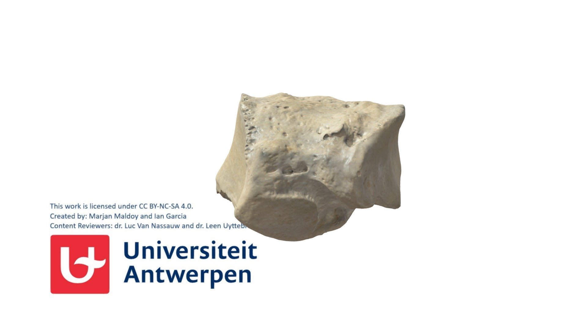 Rechter os cuboideum met annotaties - 3D model by Universiteit ...