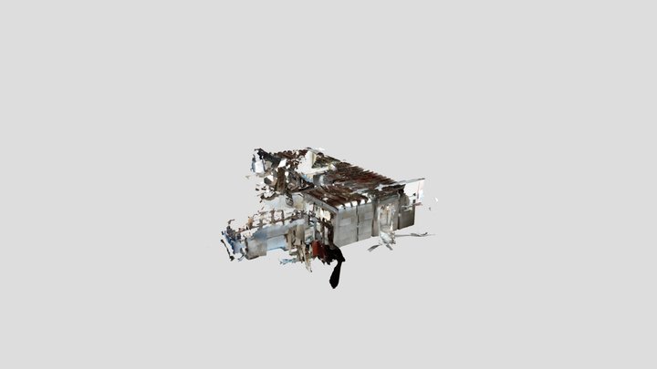 Untitled Scan 3D Model