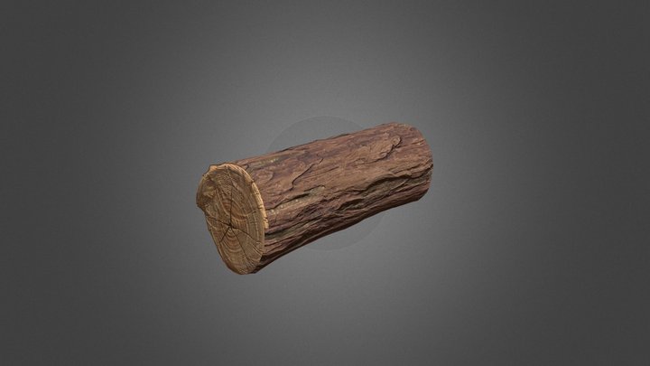 Nice Log 3D Model